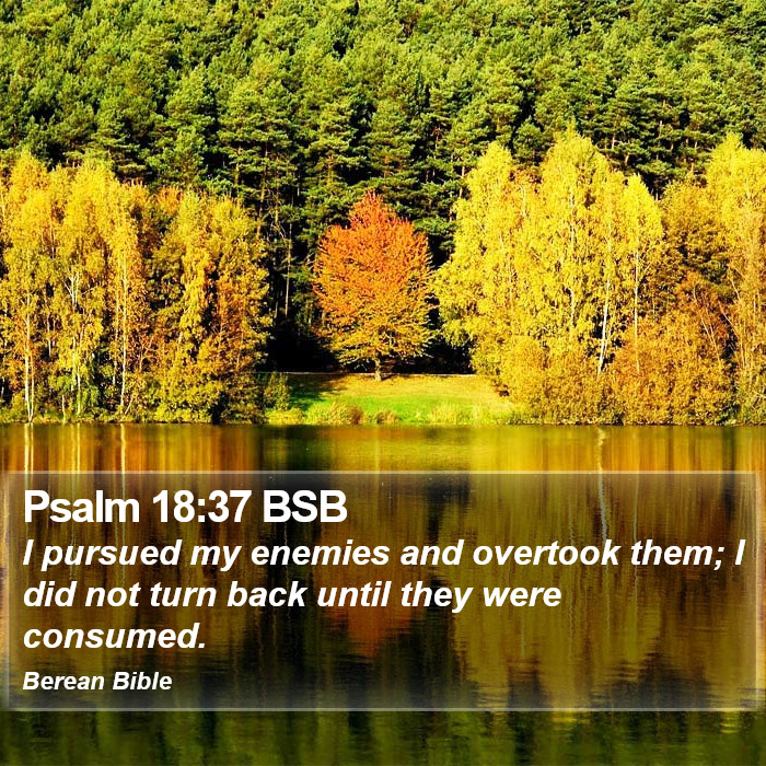 Psalms 18:37 BSB Bible Study