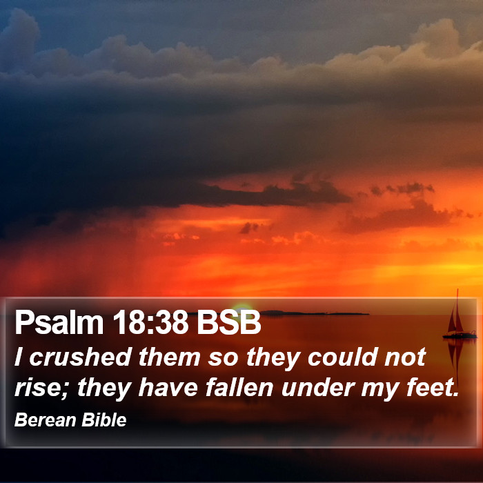 Psalms 18:38 BSB Bible Study