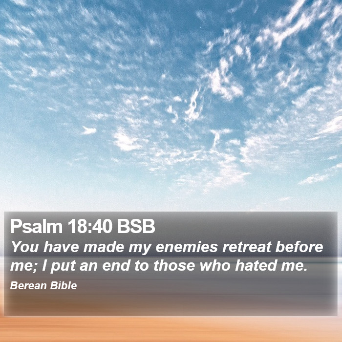 Psalms 18:40 BSB Bible Study