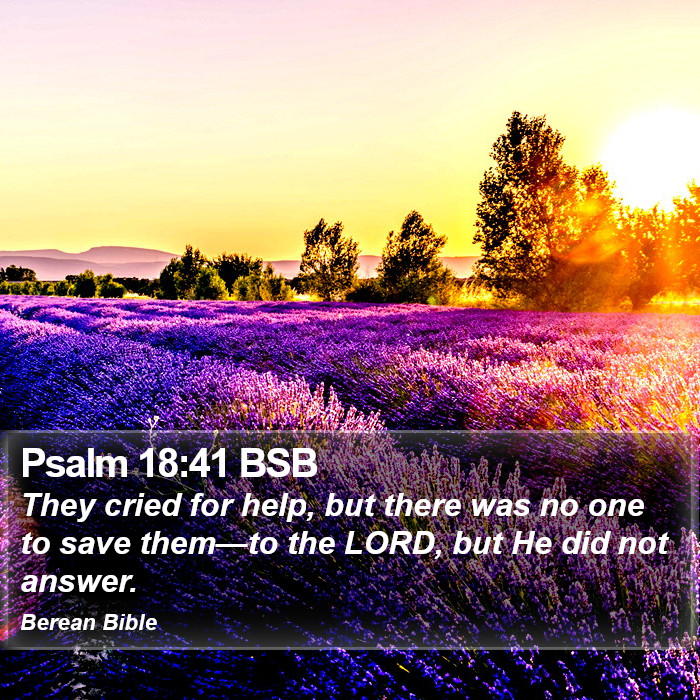 Psalms 18:41 BSB Bible Study