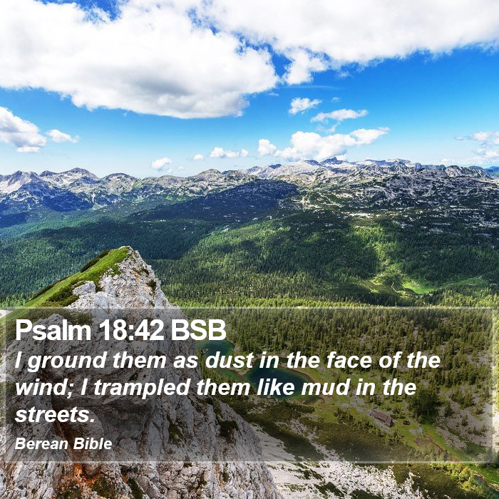 Psalms 18:42 BSB Bible Study