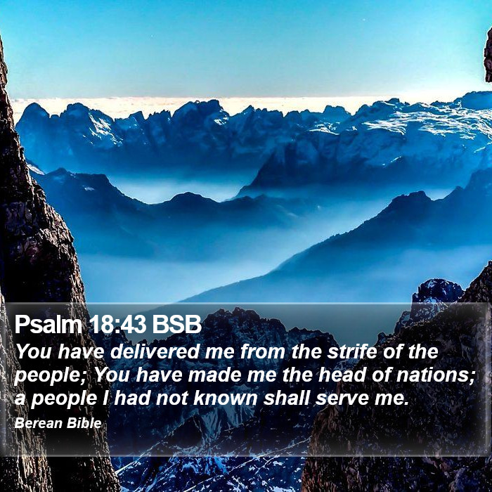 Psalms 18:43 BSB Bible Study