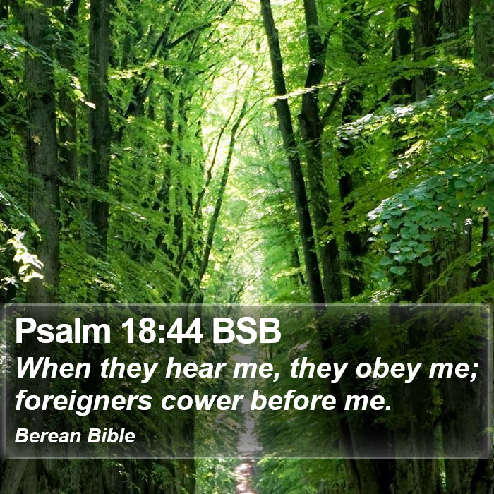 Psalms 18:44 BSB Bible Study