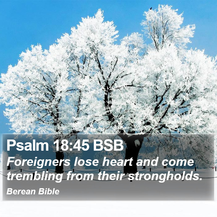 Psalms 18:45 BSB Bible Study