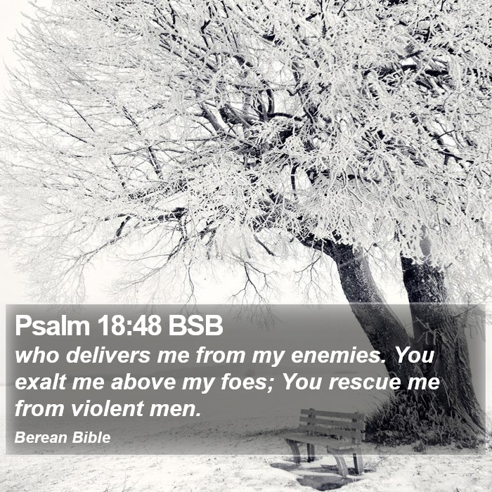 Psalms 18:48 BSB Bible Study