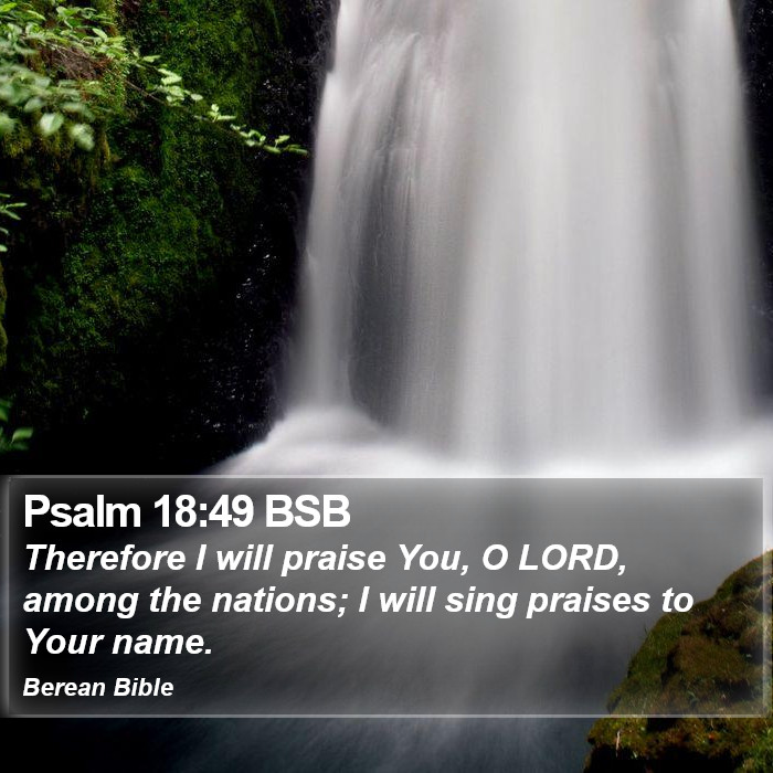 Psalms 18:49 BSB Bible Study