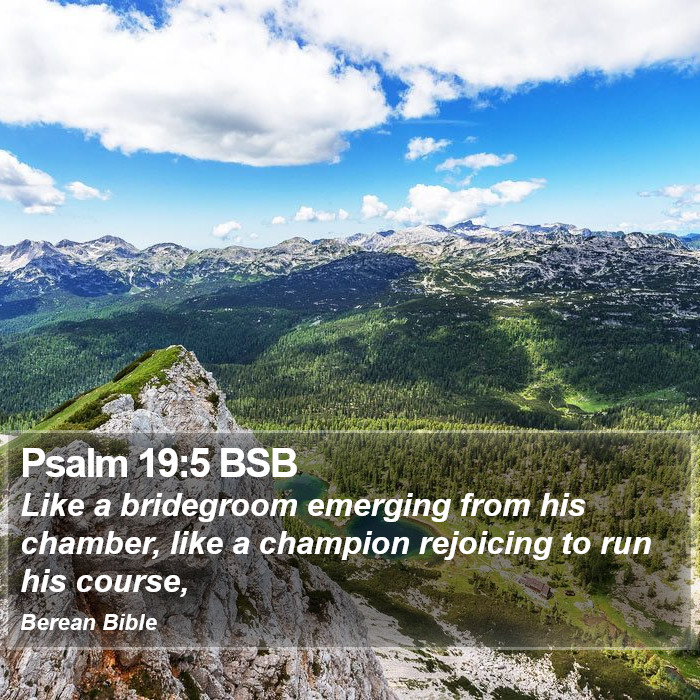 Psalms 19:5 BSB Bible Study