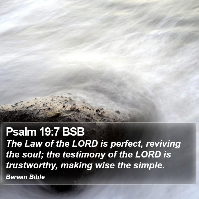 Psalms 19:7 BSB Bible Study