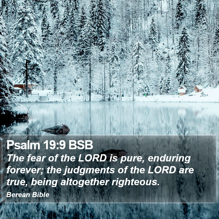 Psalms 19:9 BSB Bible Study