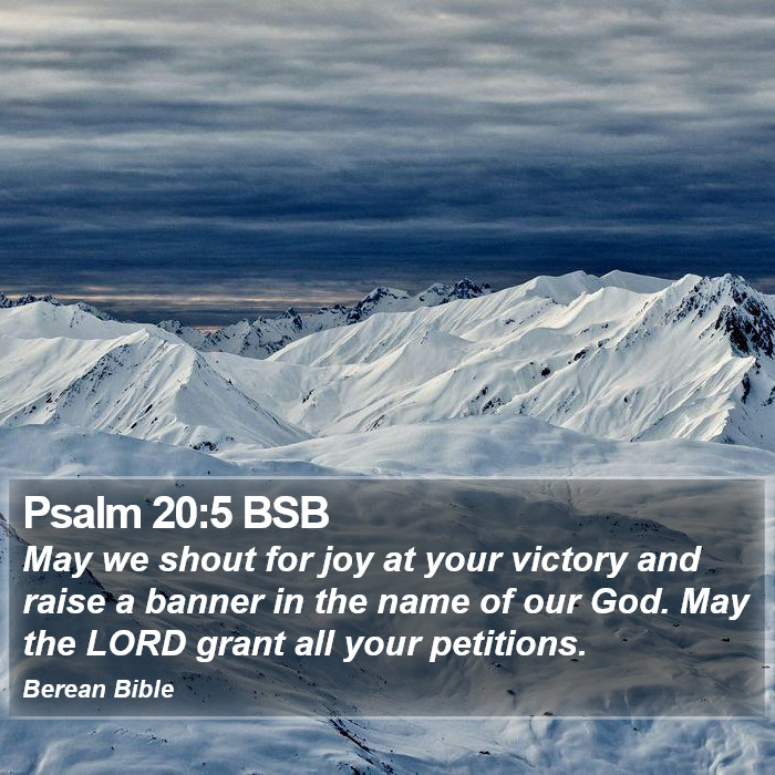 Psalms 20:5 BSB Bible Study