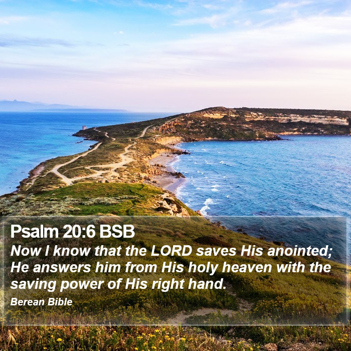 Psalms 20:6 BSB Bible Study