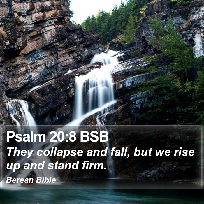 Psalms 20:8 BSB Bible Study