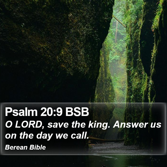 Psalms 20:9 BSB Bible Study