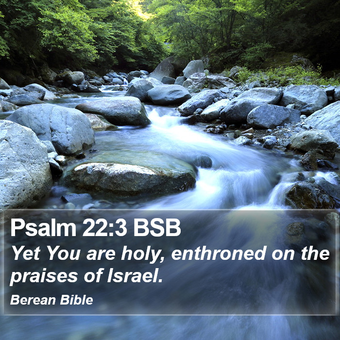 Psalms 22:3 BSB Bible Study