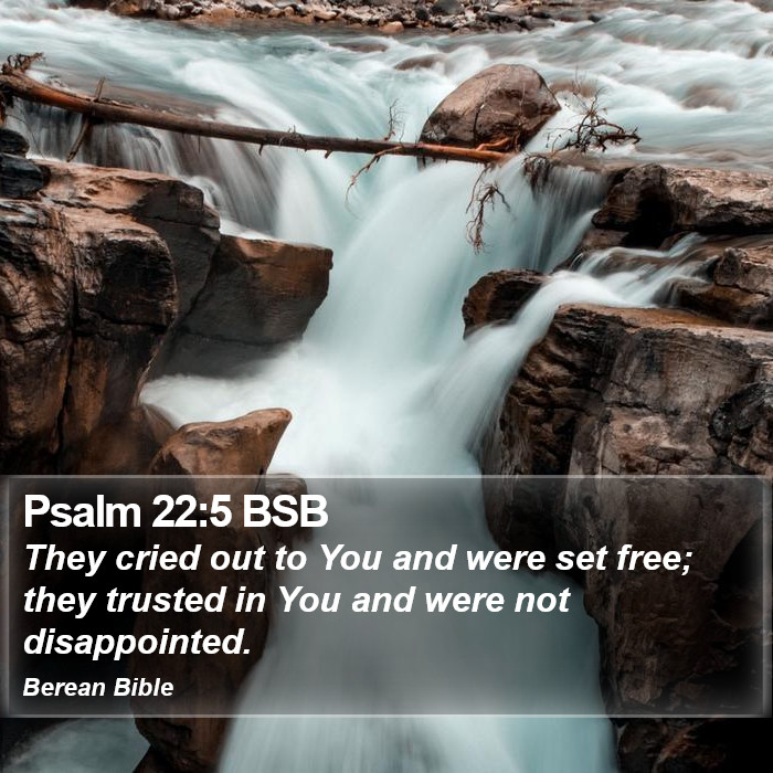 Psalms 22:5 BSB Bible Study