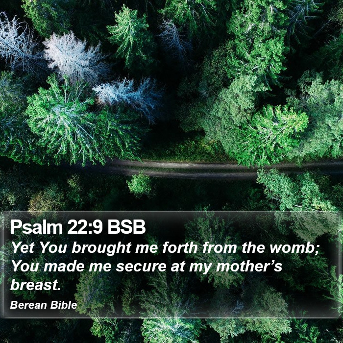 Psalms 22:9 BSB Bible Study