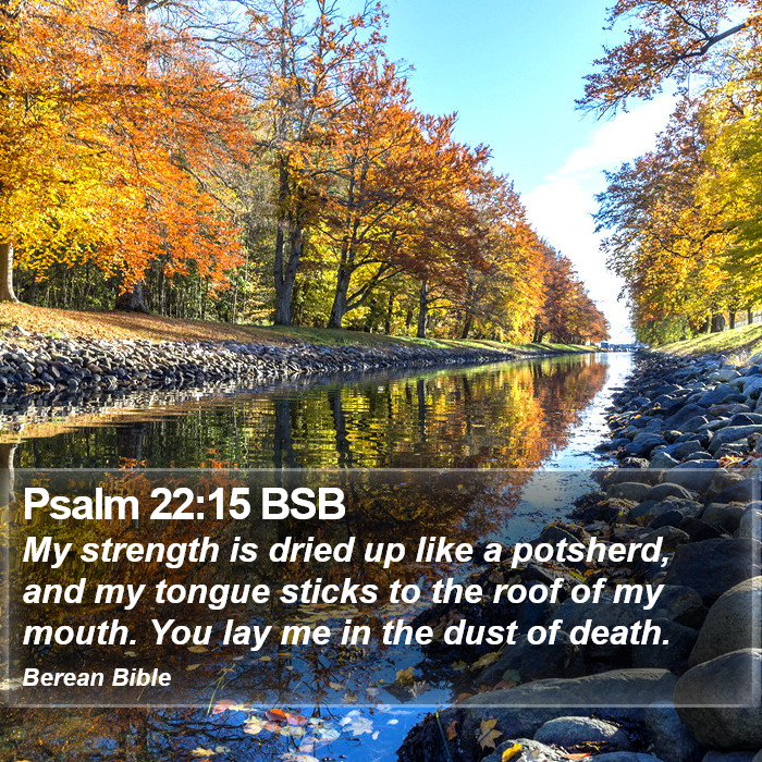 Psalms 22:15 BSB Bible Study