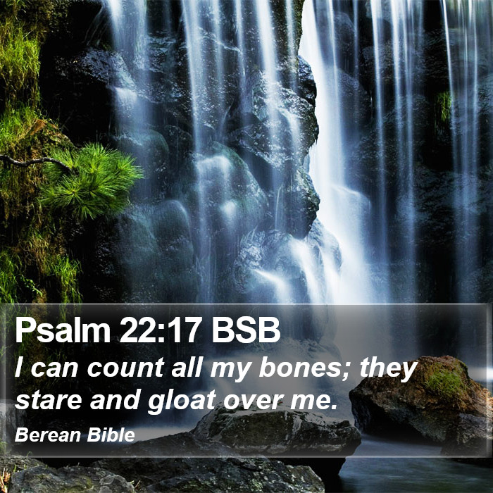 Psalms 22:17 BSB Bible Study