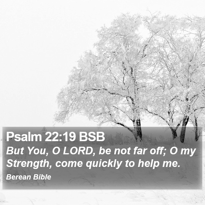 Psalms 22:19 BSB Bible Study