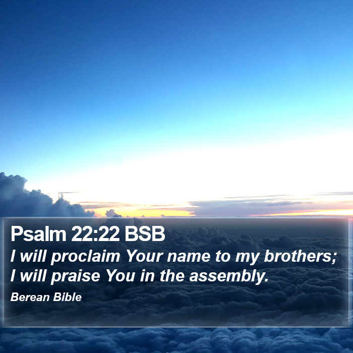 Psalms 22:22 BSB Bible Study