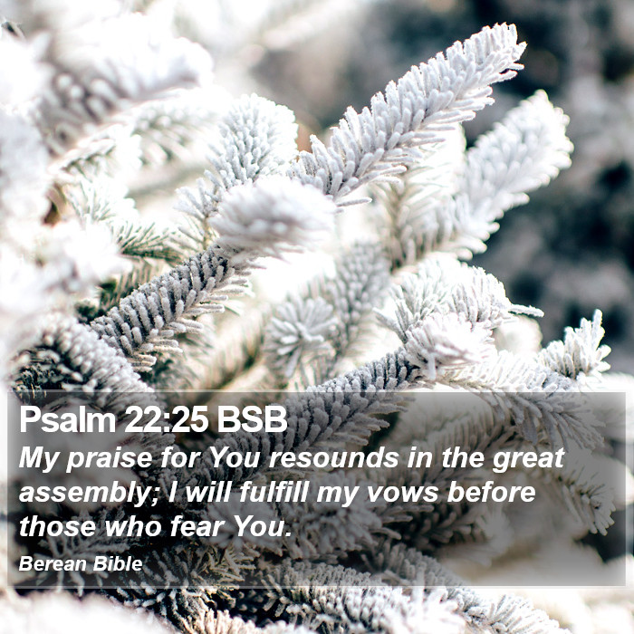 Psalms 22:25 BSB Bible Study