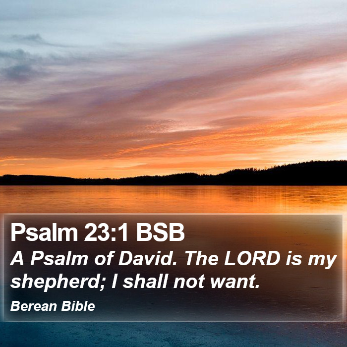 Psalms 23:1 BSB Bible Study