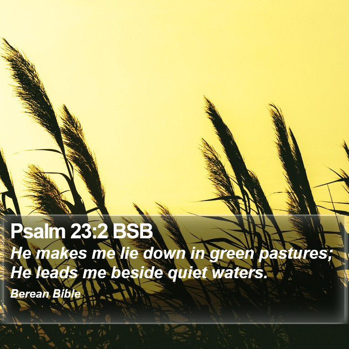 Psalms 23:2 BSB Bible Study