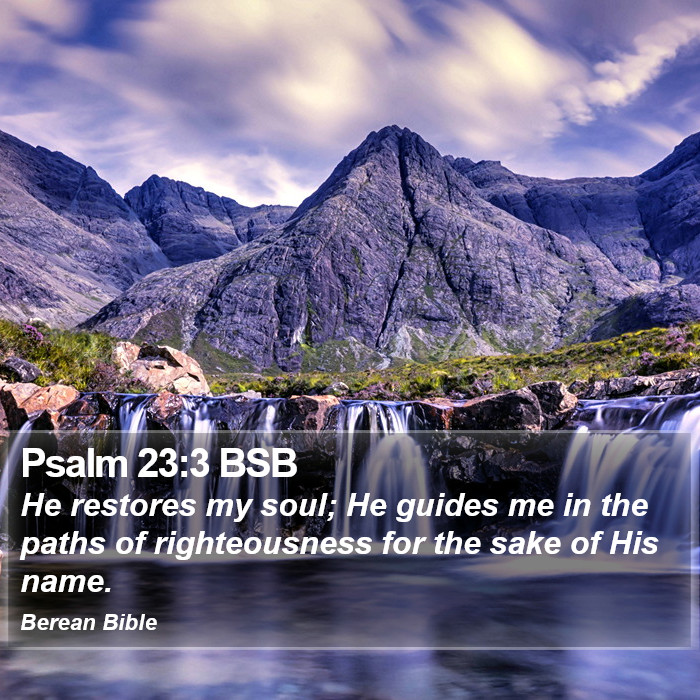 Psalms 23:3 BSB Bible Study