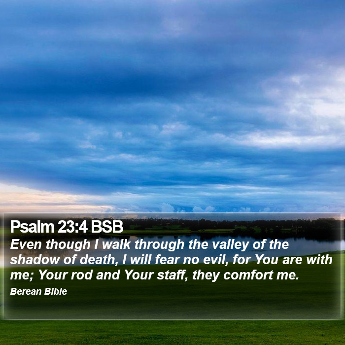 Psalms 23:4 BSB Bible Study