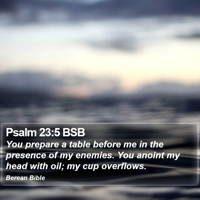 Psalms 23:5 BSB Bible Study