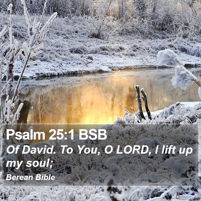 Psalms 25:1 BSB Bible Study