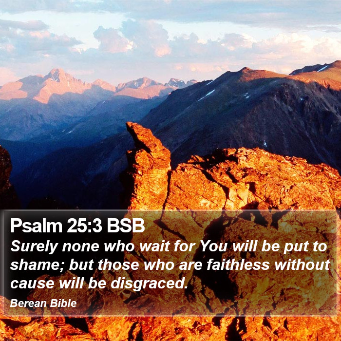 Psalms 25:3 BSB Bible Study