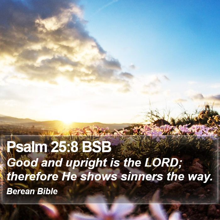 Psalms 25:8 BSB Bible Study