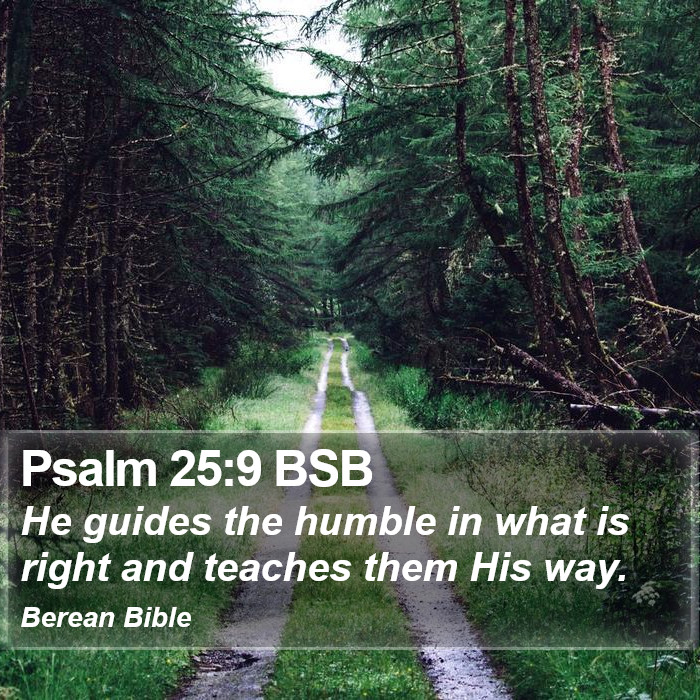 Psalms 25:9 BSB Bible Study