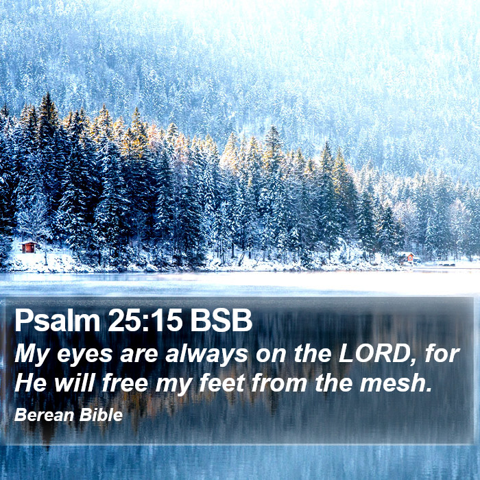 Psalms 25:15 BSB Bible Study