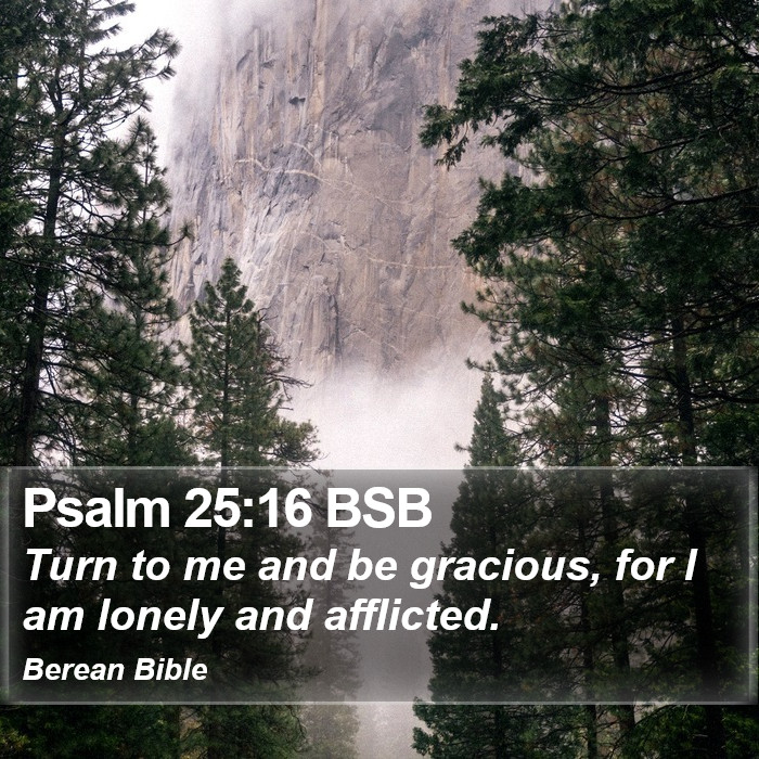 Psalms 25:16 BSB Bible Study