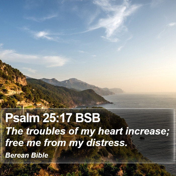 Psalms 25:17 BSB Bible Study