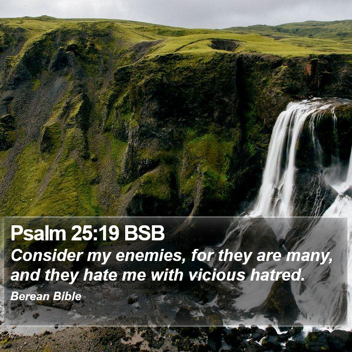 Psalms 25:19 BSB Bible Study