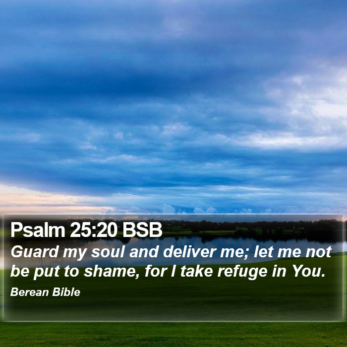 Psalms 25:20 BSB Bible Study