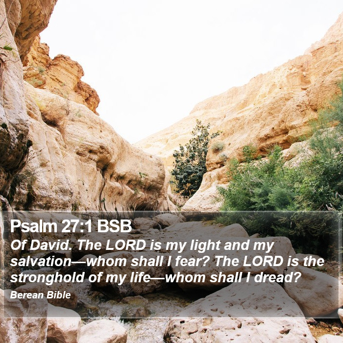 Psalms 27:1 BSB Bible Study