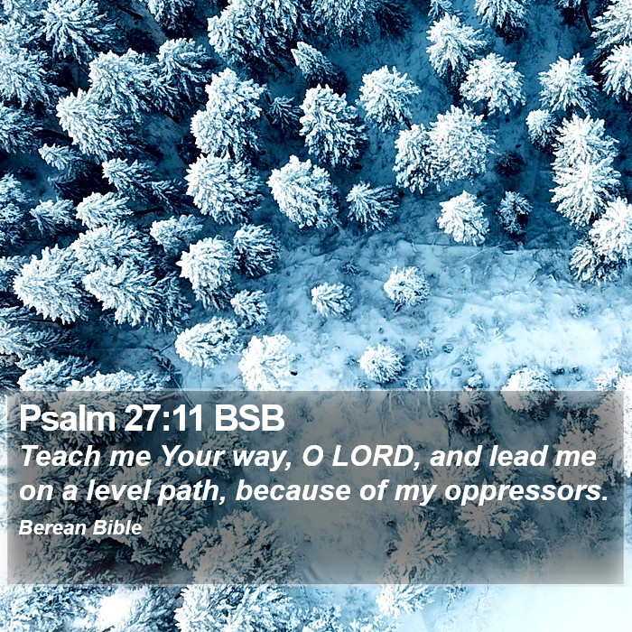 Psalms 27:11 BSB Bible Study