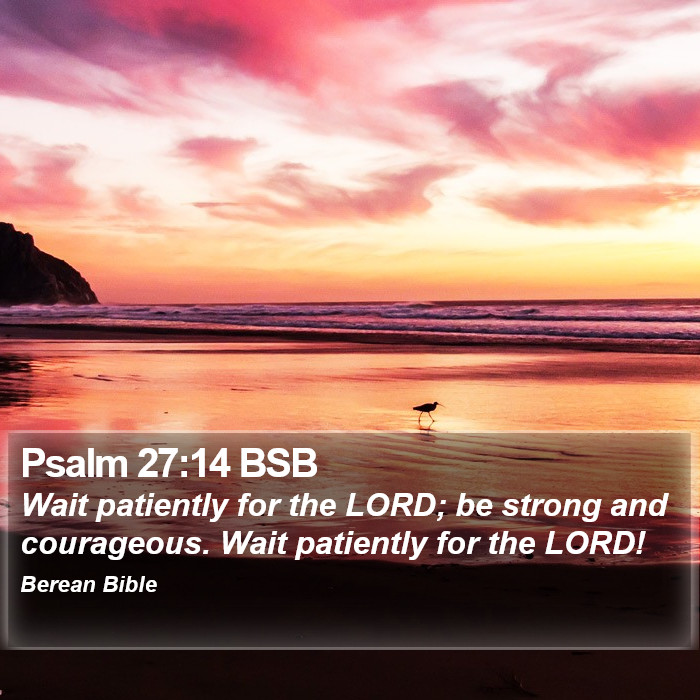 Psalms 27:14 BSB Bible Study