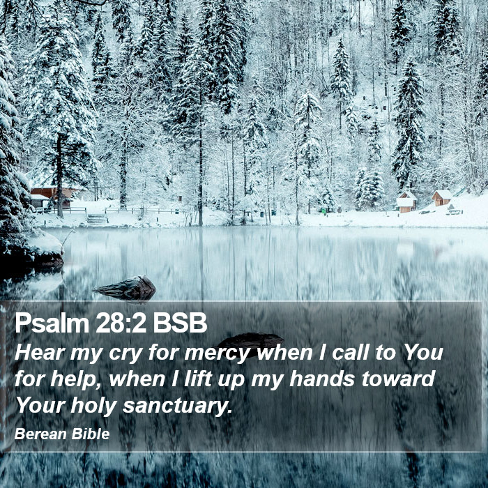 Psalms 28:2 BSB Bible Study