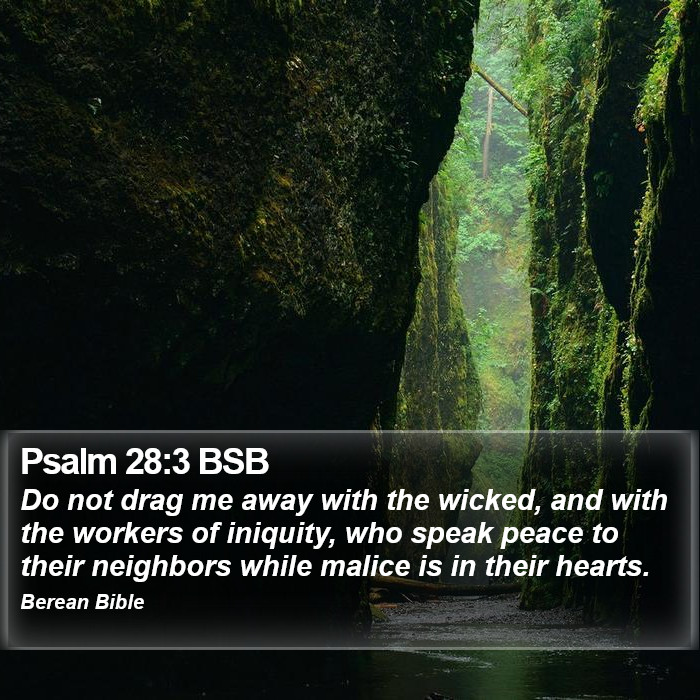 Psalms 28:3 BSB Bible Study