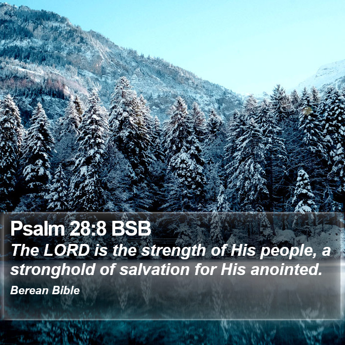 Psalms 28:8 BSB Bible Study