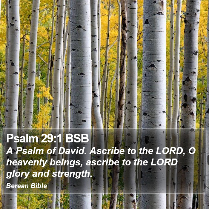 Psalms 29:1 BSB Bible Study