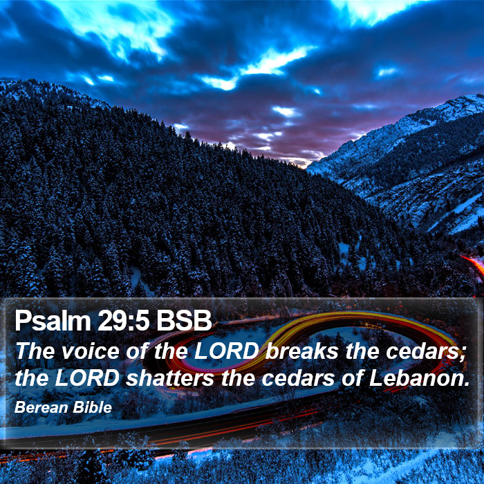 Psalms 29:5 BSB Bible Study