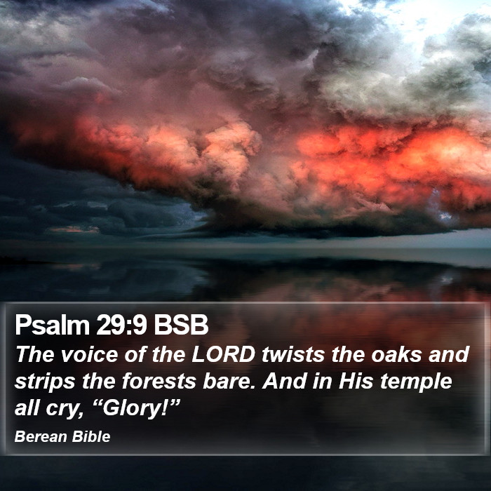 Psalms 29:9 BSB Bible Study