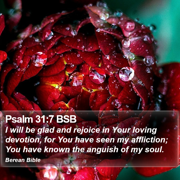 Psalms 31:7 BSB Bible Study