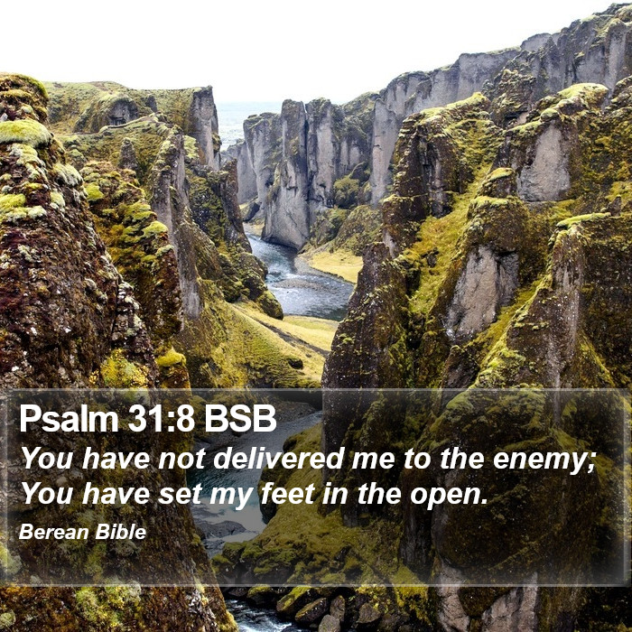 Psalms 31:8 BSB Bible Study